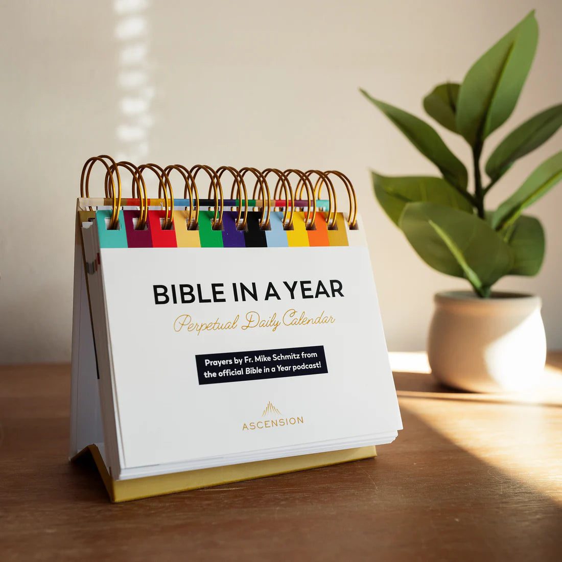 Calendar-Bible In A Year-Perpetual Daily Calendar