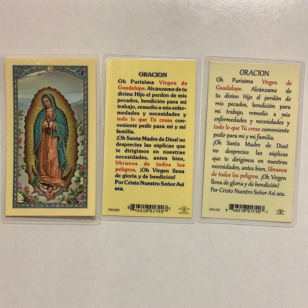 BM-laminated-Virgen de Guadalupe-S24-218/700-283