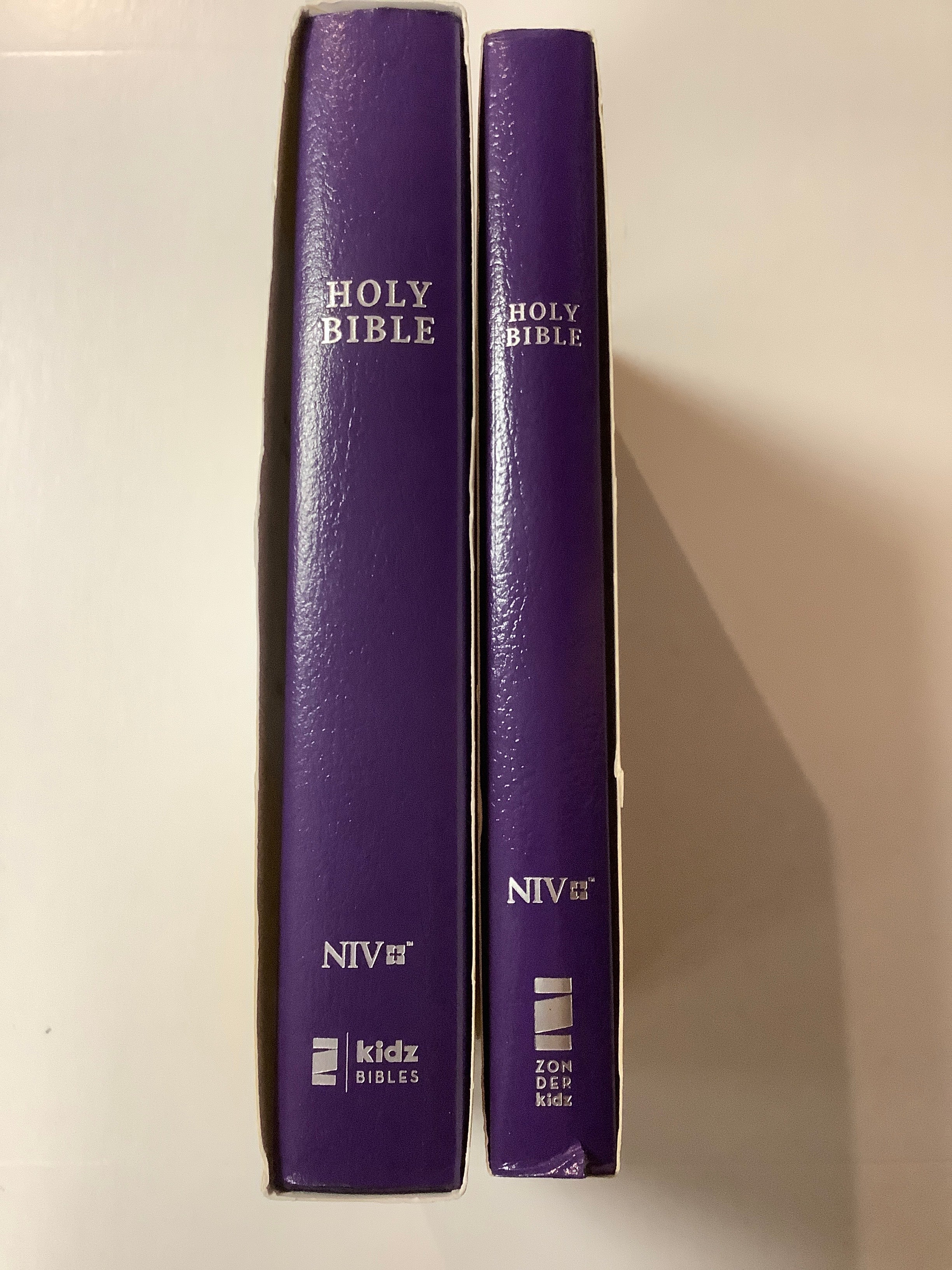 Bible/NIV/Gift & Award/Purple