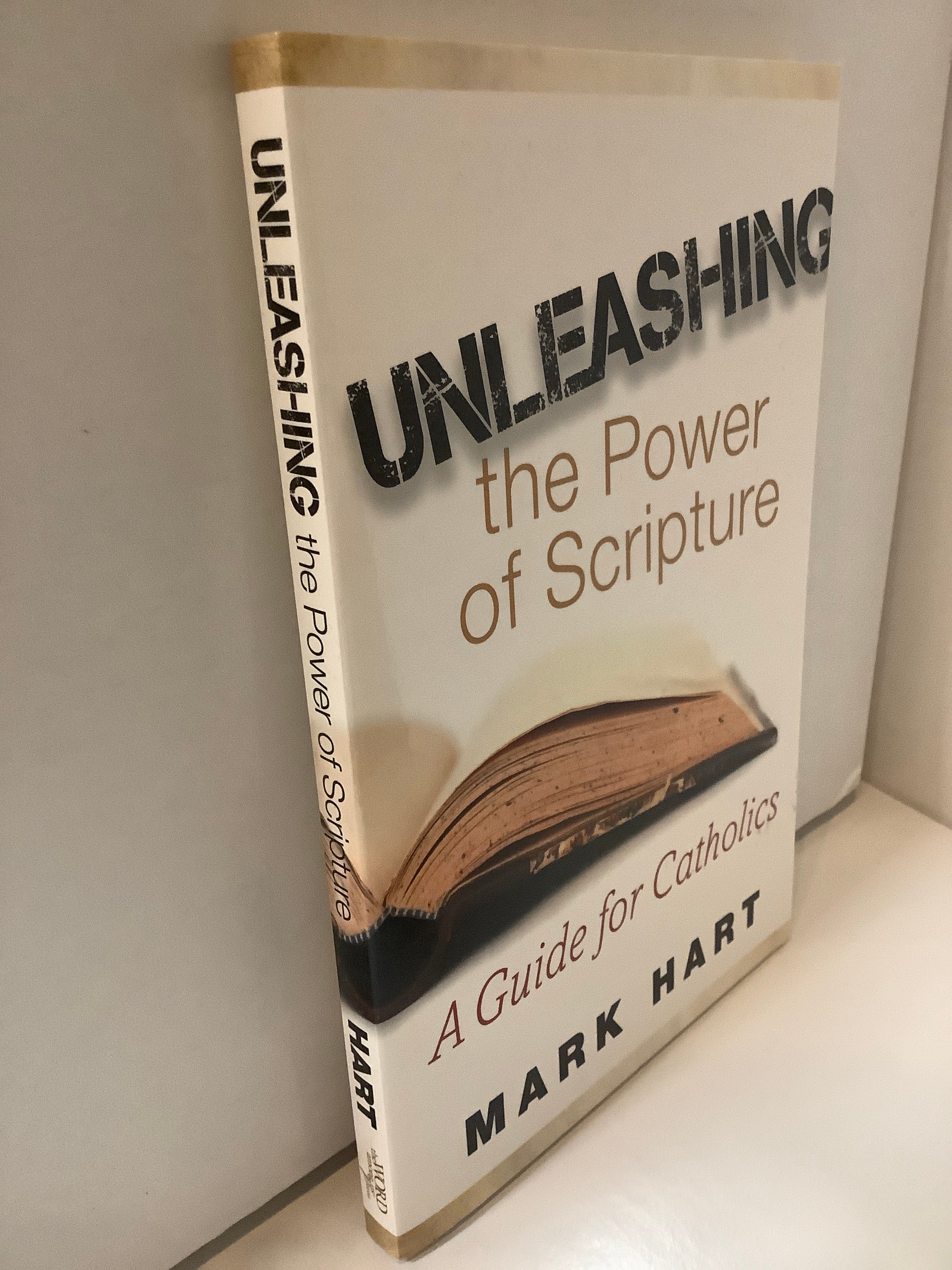 Book/Unleashing The Power of Scripture