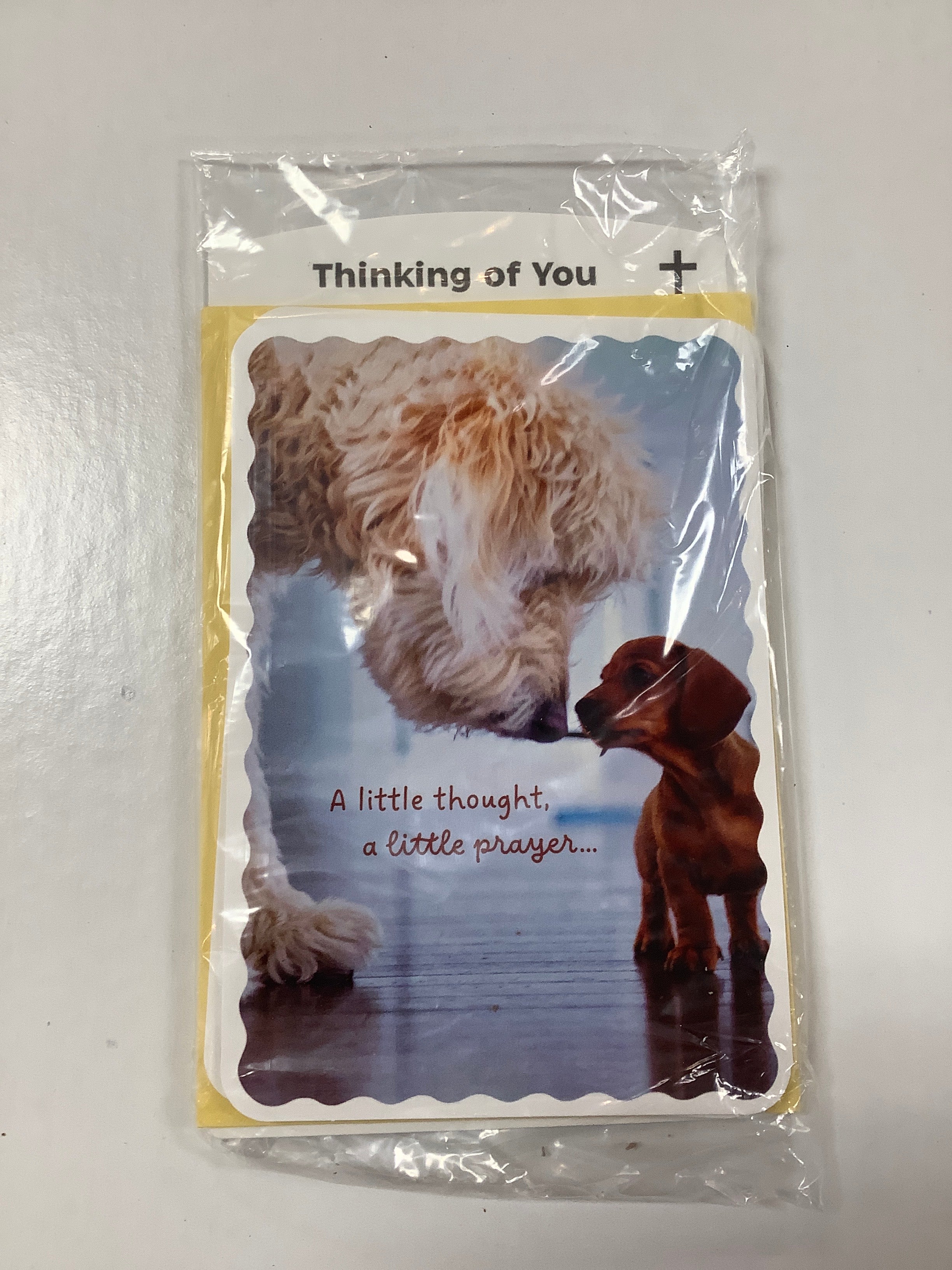 Card-Thinking Of You-U4888-(WH11)