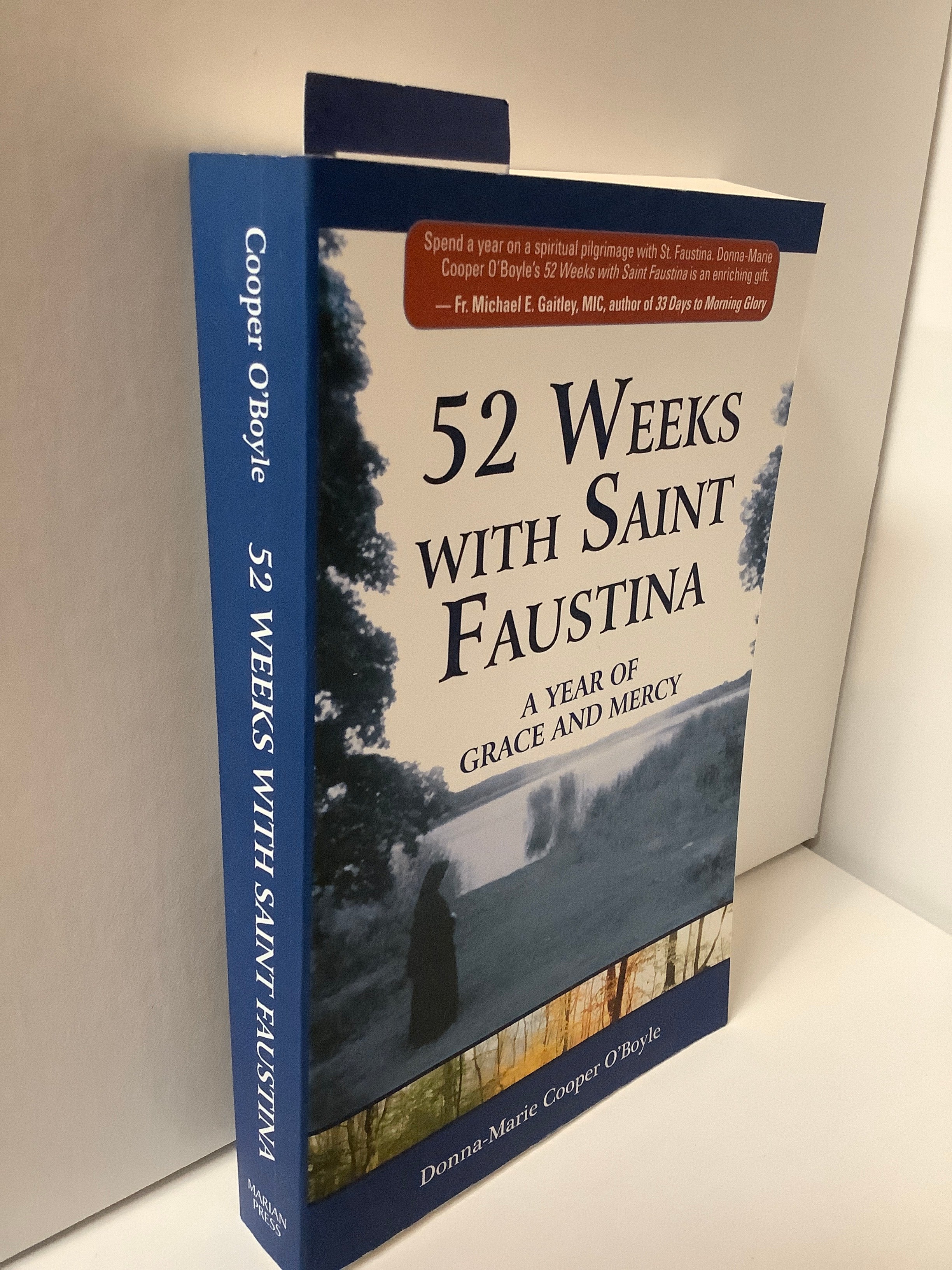 Book/52 Weeks With St Faustina