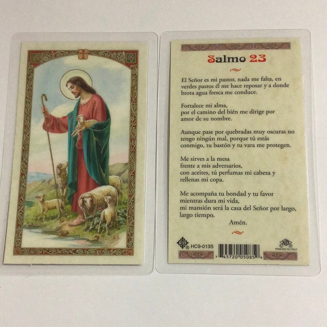 BM-laminated-Salmo 23-HC9-013S