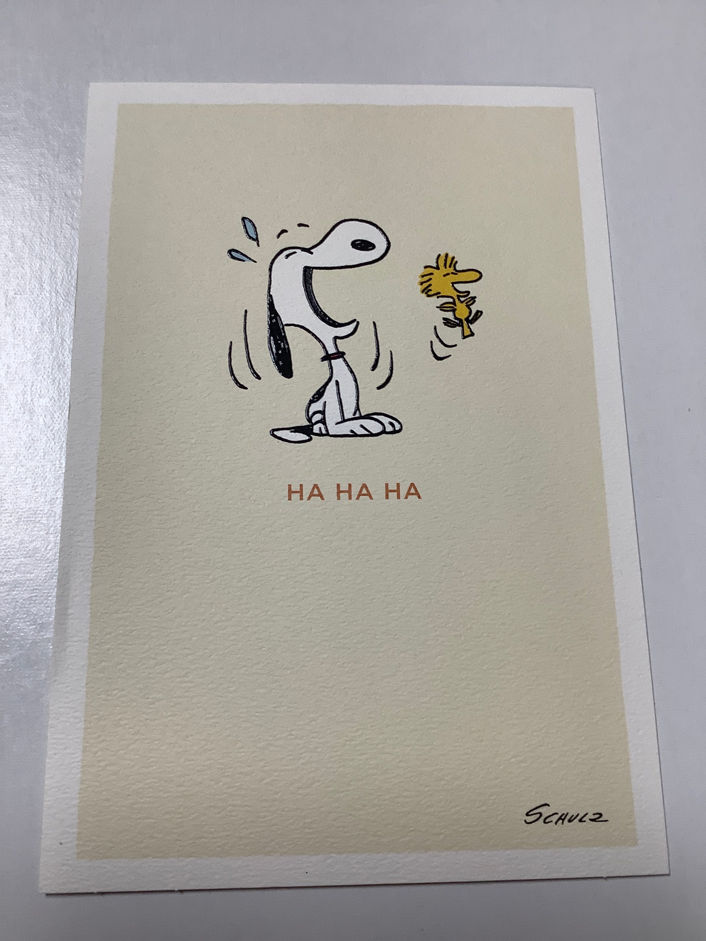 Card-Flex-Peanuts-Encouragement-U4342