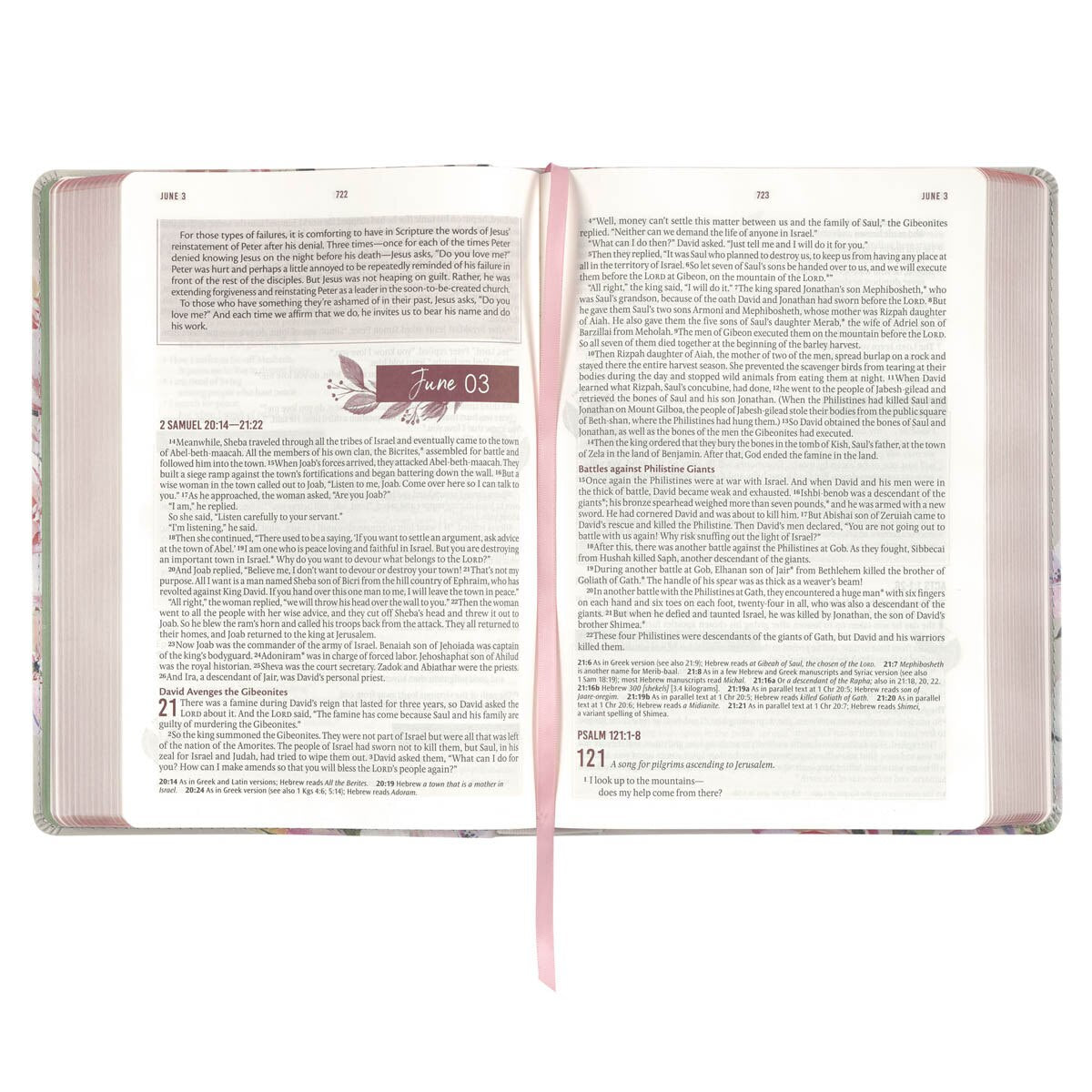 Bible-NLT-Devotional-Women's-Floral