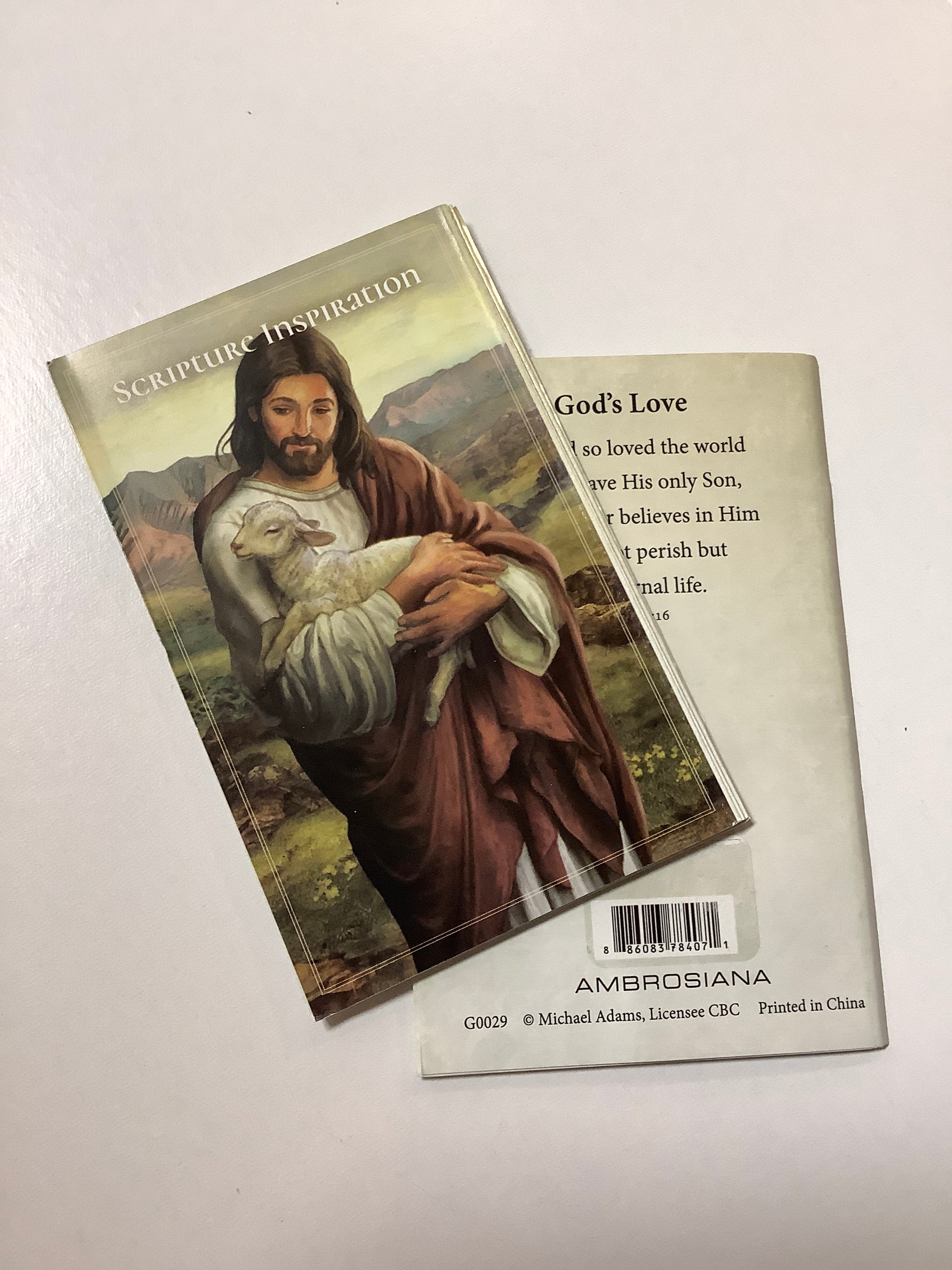 Pamphlet/Catholic/Scripture Insp-G0029