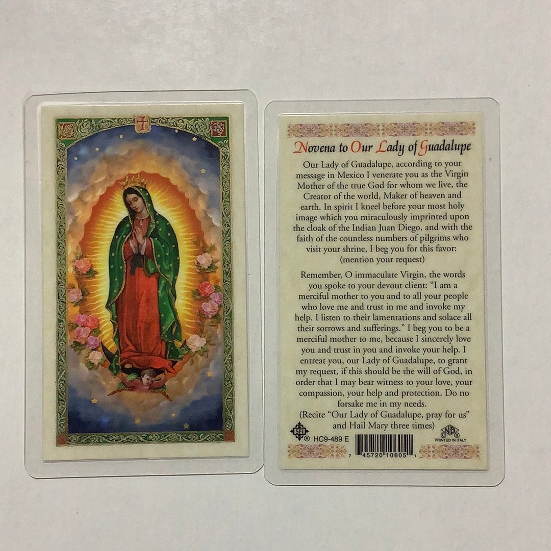 BM-laminated-Lady of Guadalupe-HC9-489 E