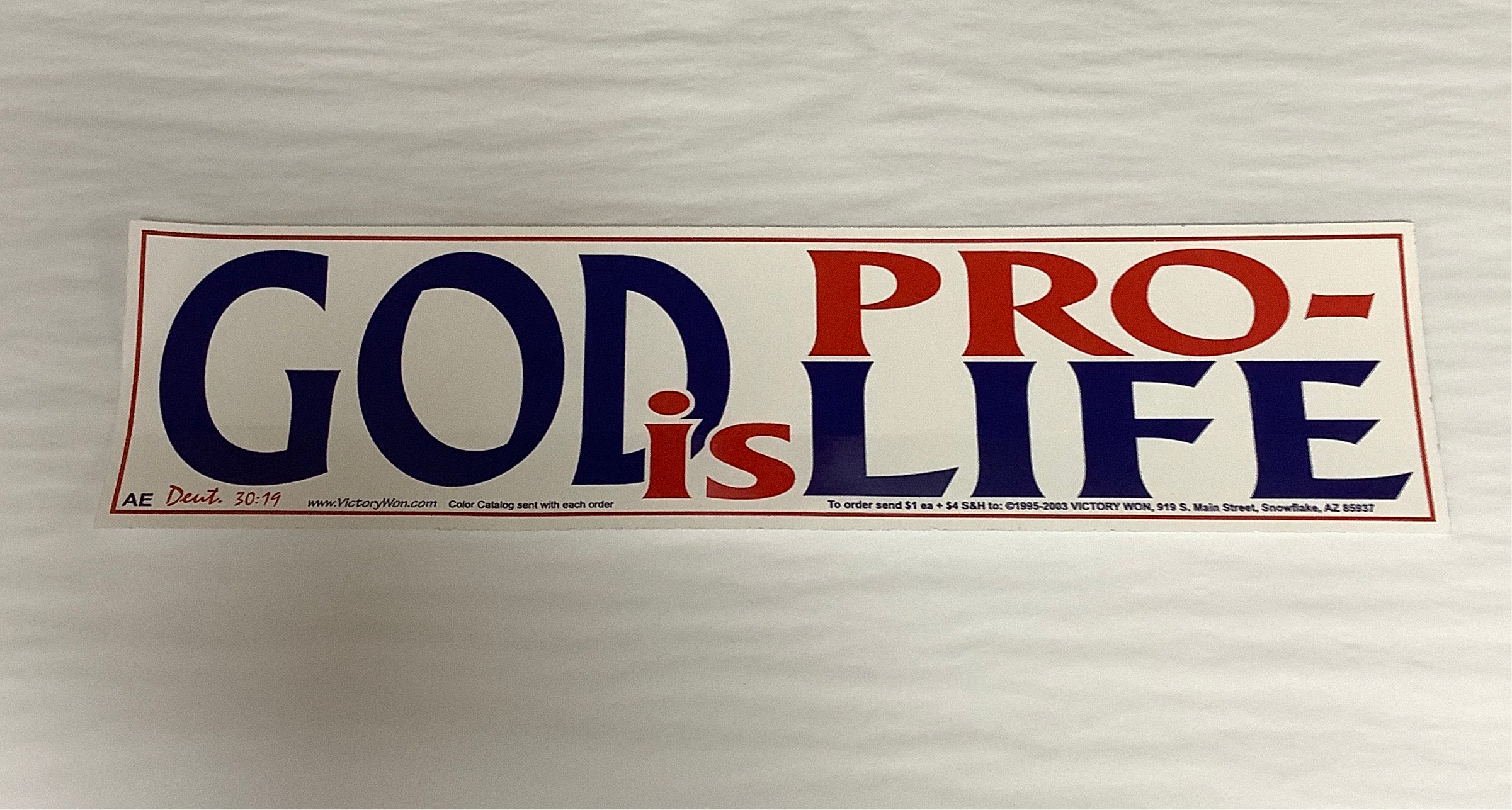 Bumper Sticker/God Is Pro-Life