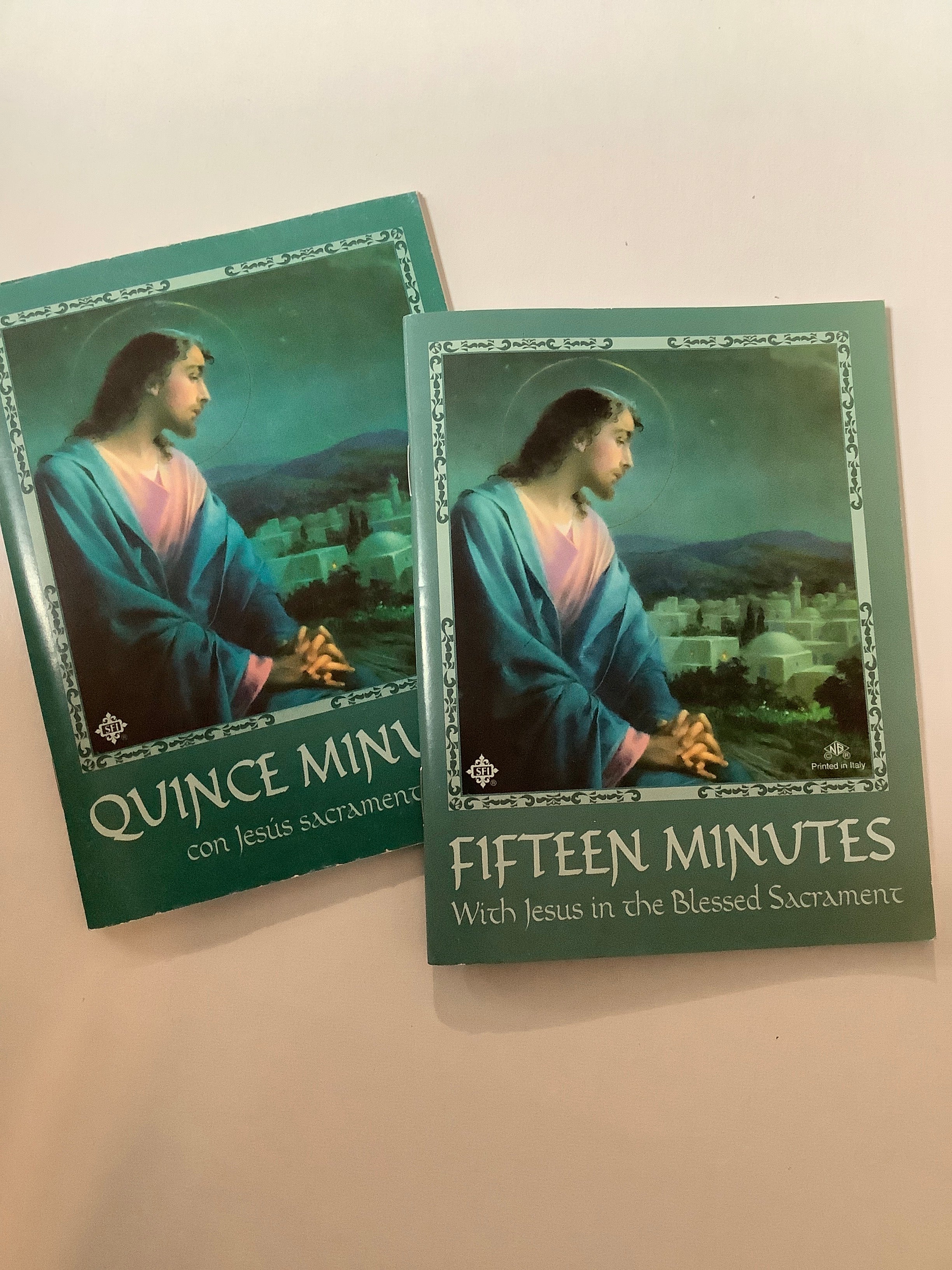 Book/Fifteen Minutes/Bilingual