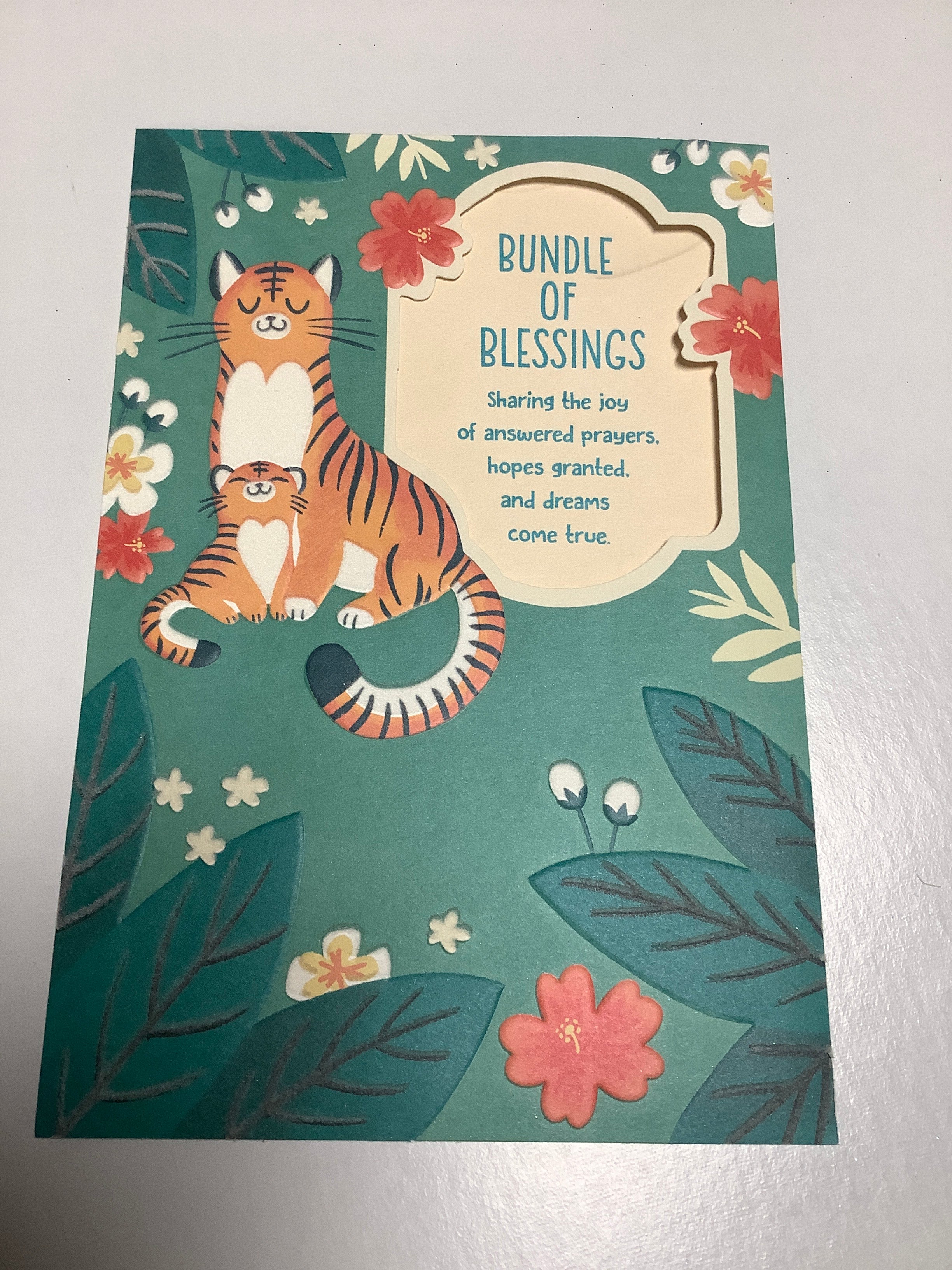 Card/Baby Congrats/J8176-c062