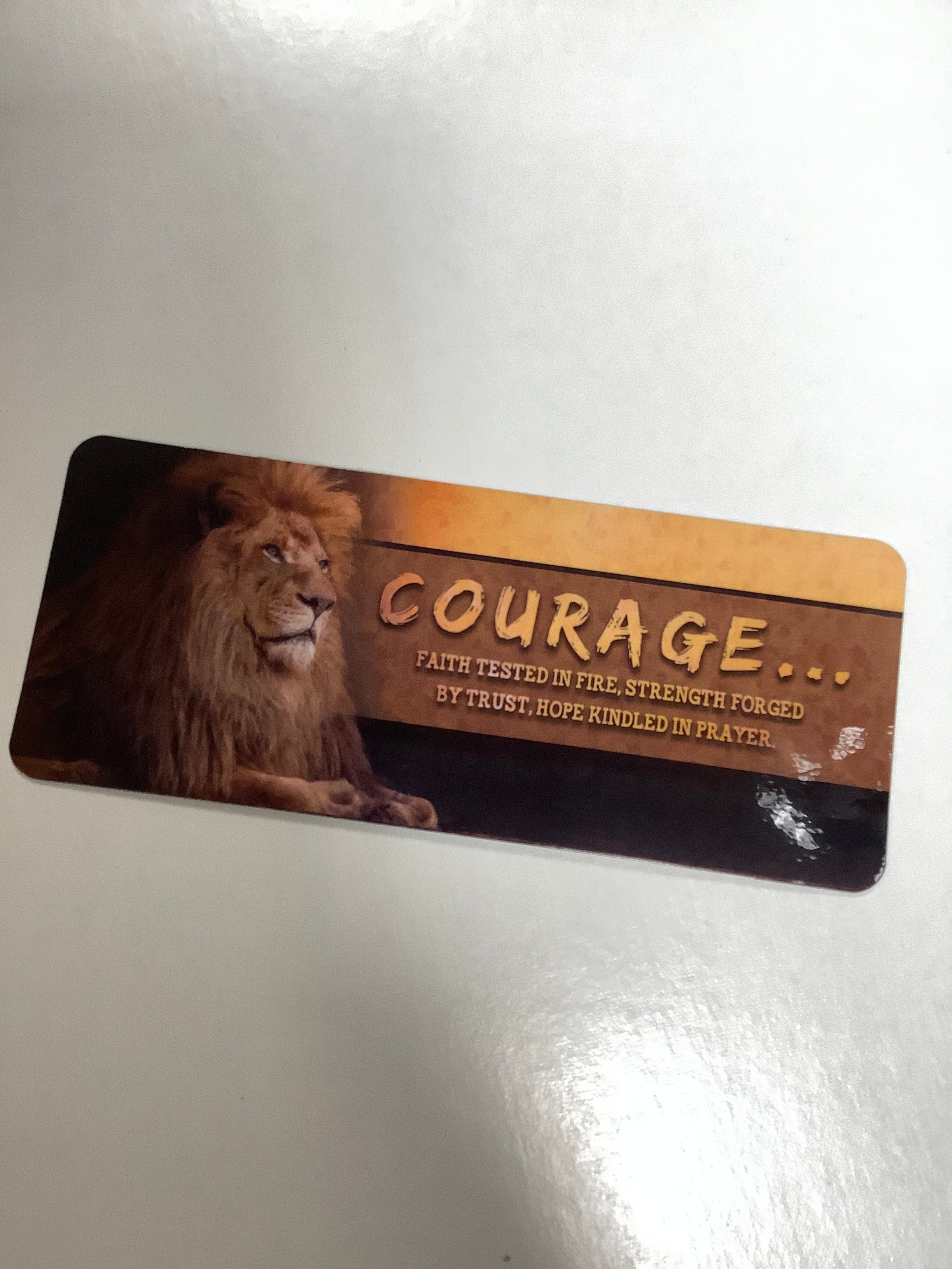 Bookcard/Lion/Courage