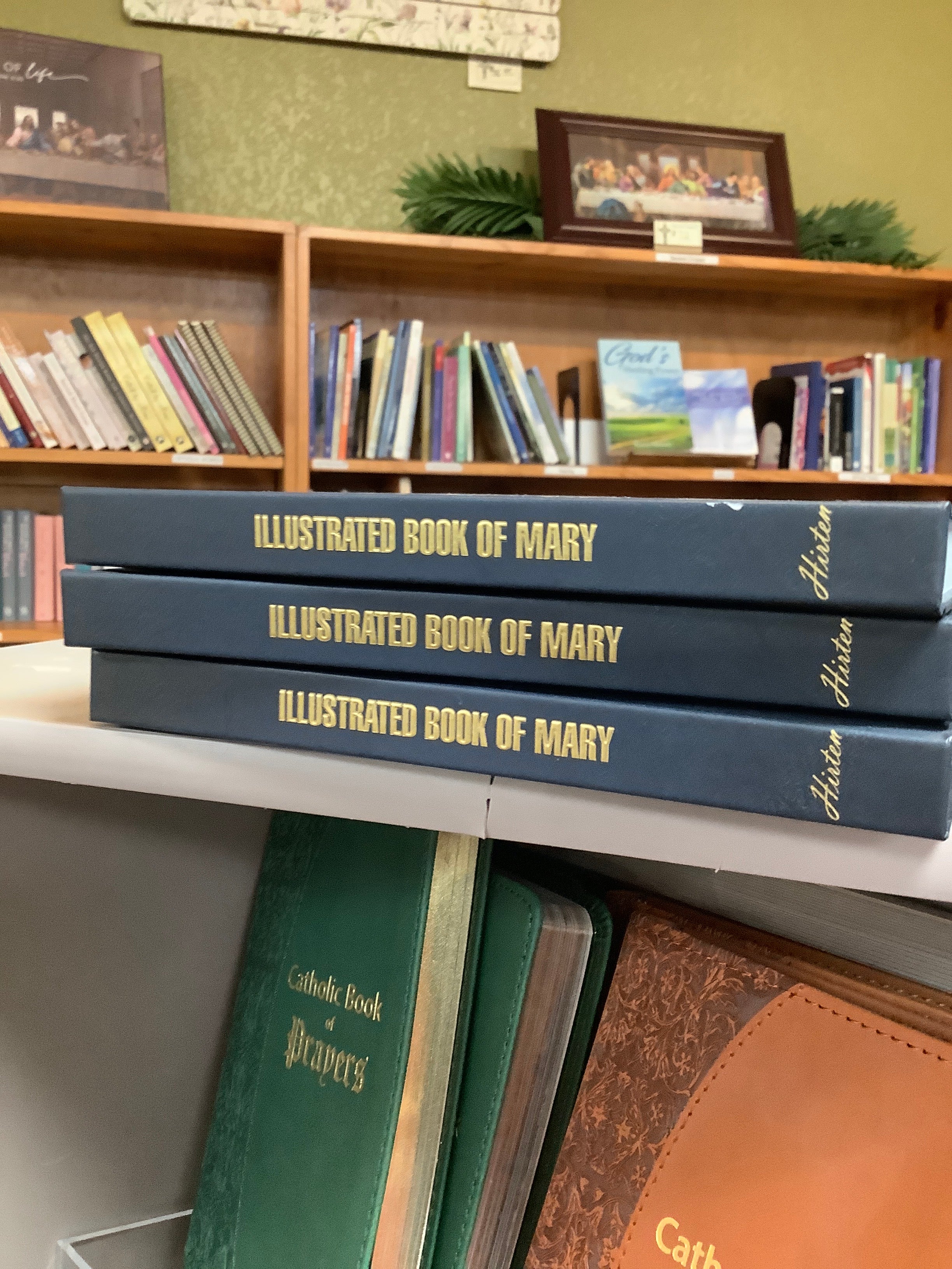 Book/Ill Book of Mary