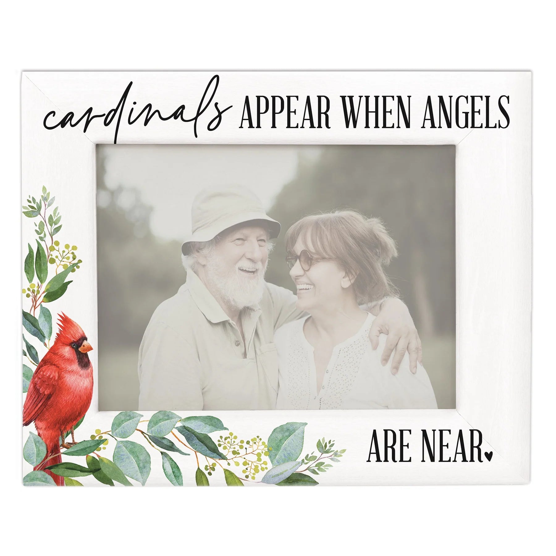 Frame-White Cardinal-Cardinals Appear