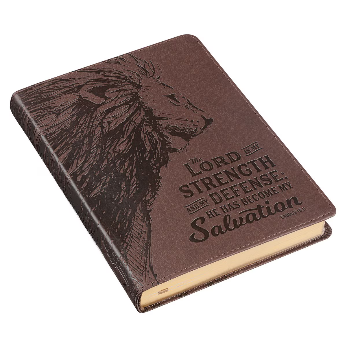 Journal/Brn/Lion/Exo 15:2/My Strength
