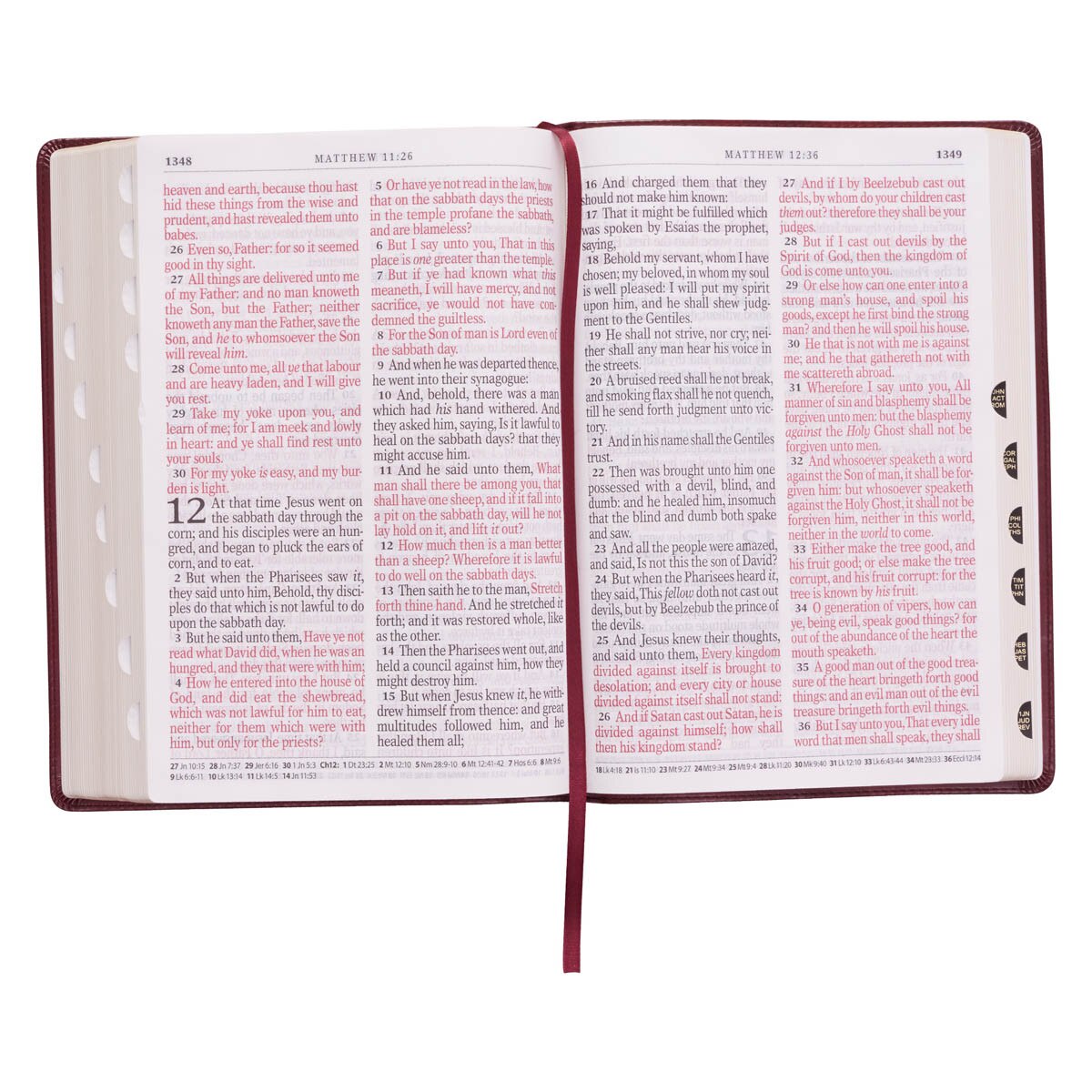 Bible/KJV/SGP/Ind/BURG