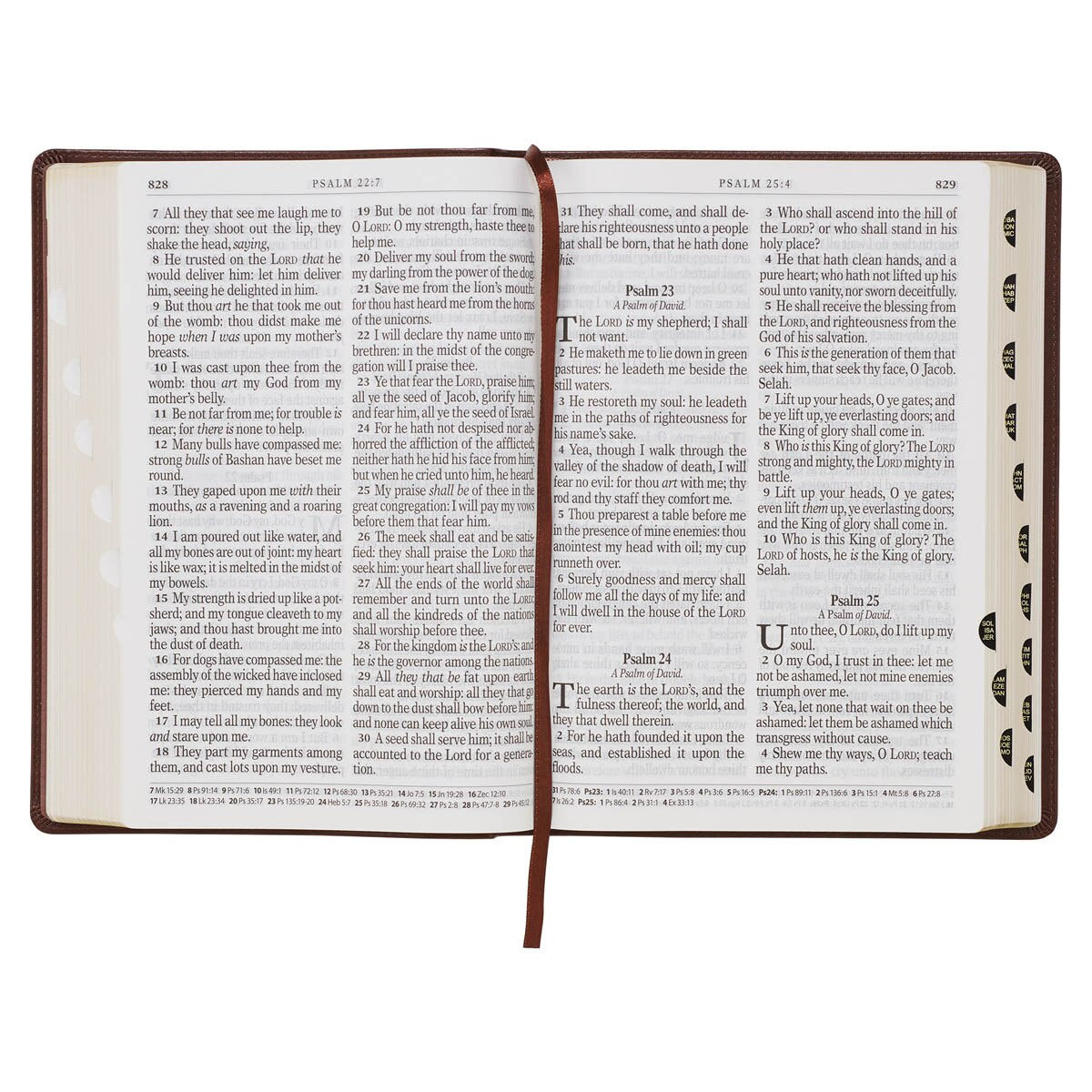 Bible/KJV/SGP/Brown/Faux/SGP