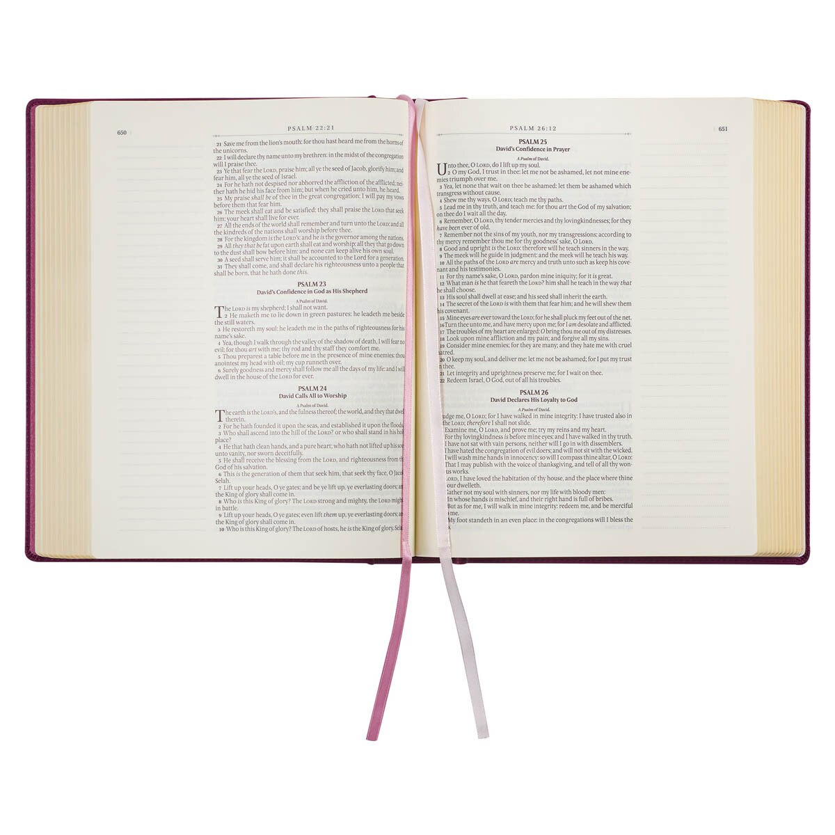 Bible-KJV-Leather-Red Plum-LP