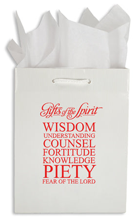 Gift Bag/CO/Medium
