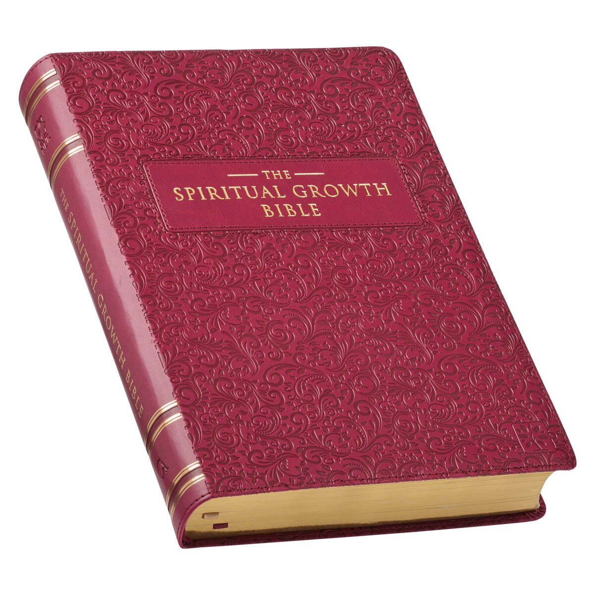 Bible/NLT/Berry/SpiritualGrowth