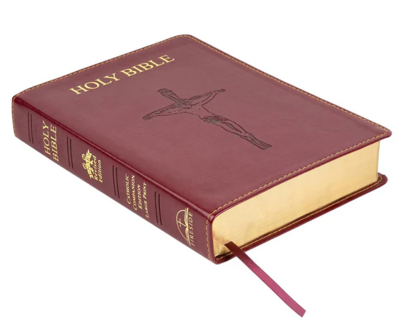 Bible/NABRE/Companion/Libro/BurgundyLP