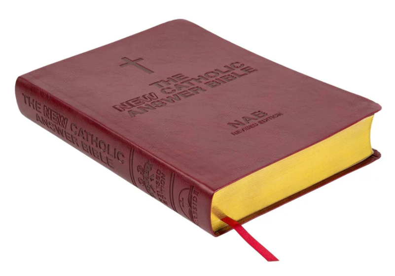 Bible-NABRE-New Catholic Answer Bible-Burgundy