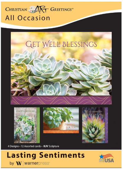 Boxed Cards/All Occasion/G3120