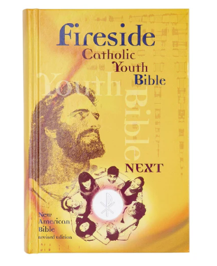 Bible/NABRE/Youth/Next/Hardcover