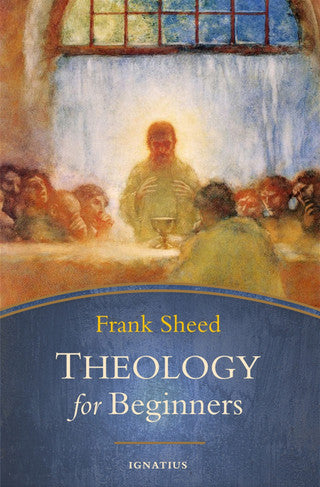 Book-Theology-Beginners