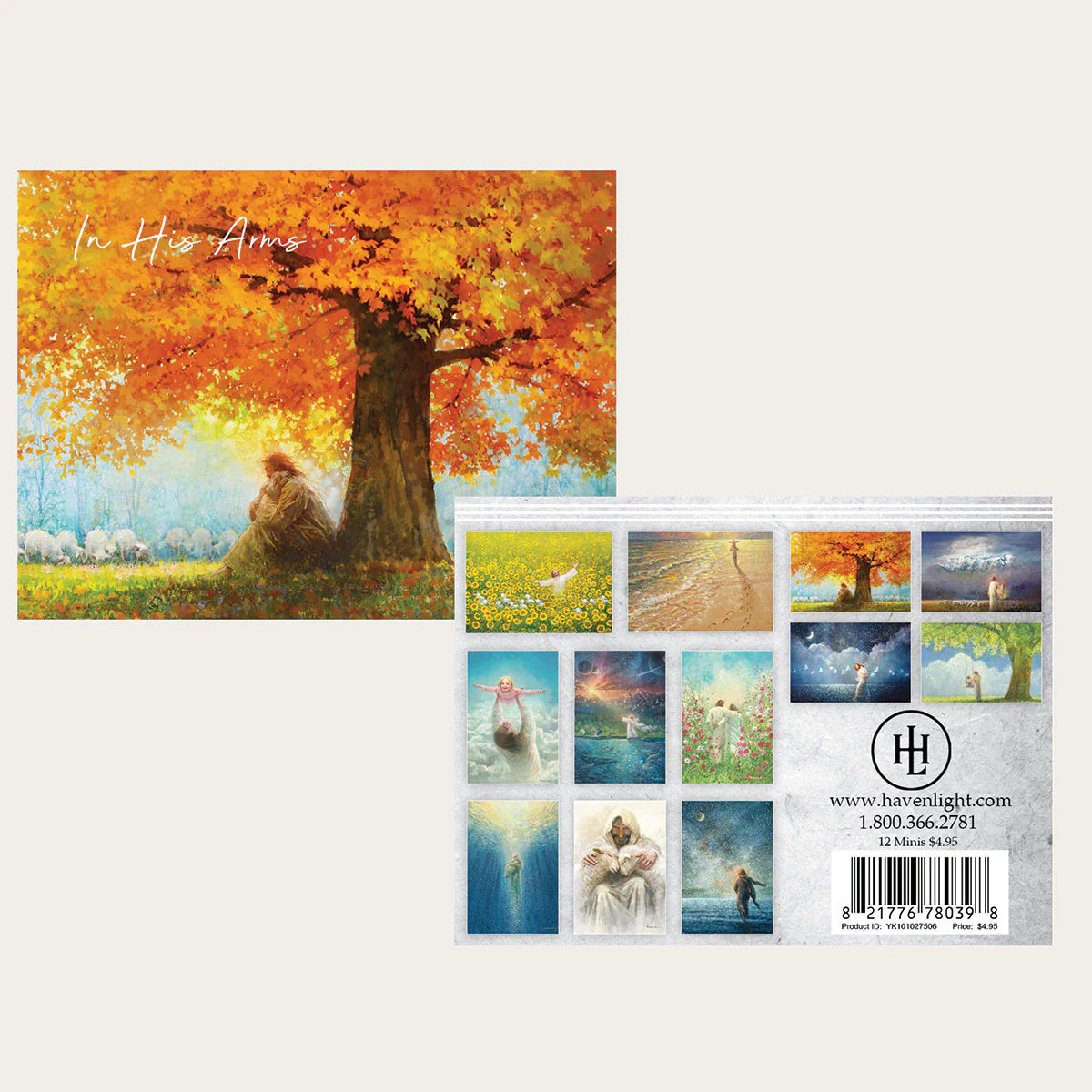 Prints-"In His Arms"-Mini Pack of 12 asst Cards-YK101027506