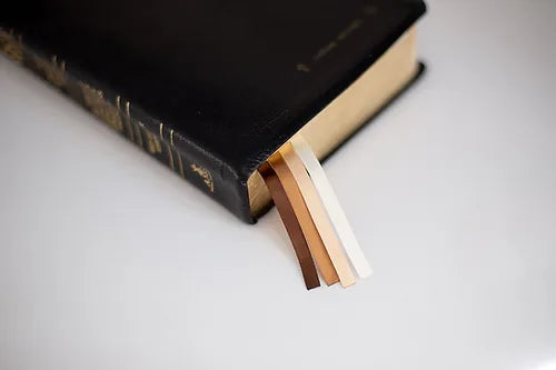 Bookmark/Ribbon/SaltOfTheEarth