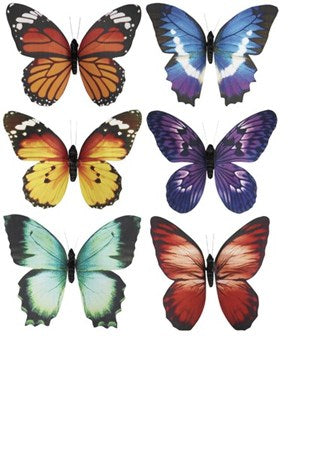 Magnet/Butterfly/Paper
