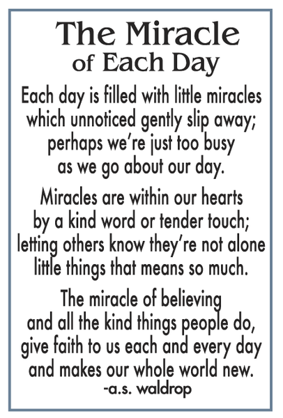 Pocket Reminder/B-Fly/Miracle