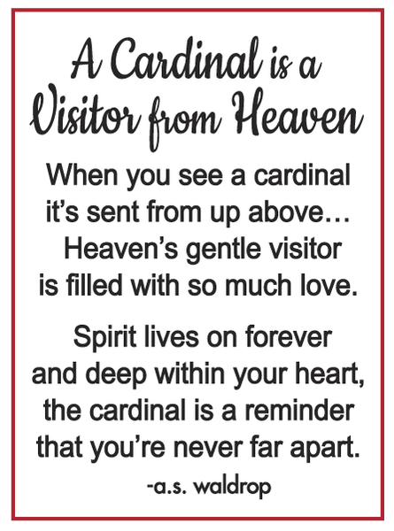 Pocket Charm/Cardinal/Visitor From