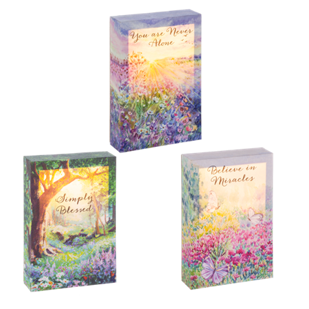 Plock-Light Up-Assorted