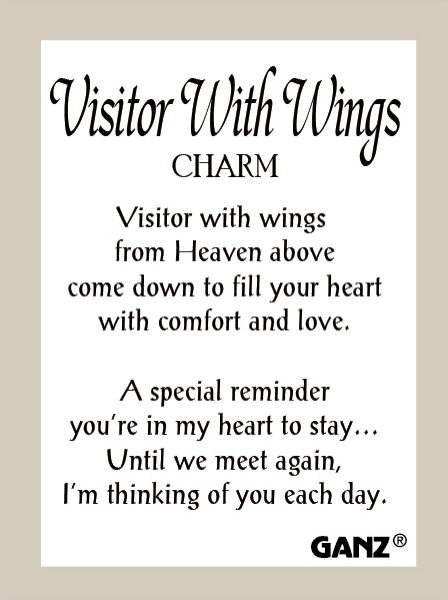 Pocket Charm-Visitor With Wings-Assorted