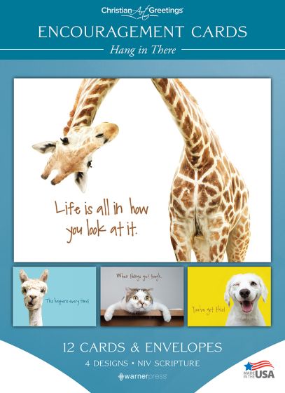 Boxed Cards-Enc-Hang In There-G3474