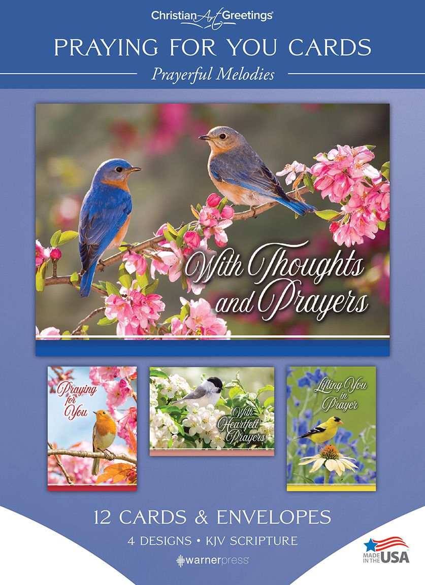Boxed Cards-12pk-Praying For You-Bird-Melodies