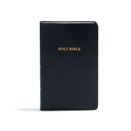 Bible/KJV/G&A/Imitation Lea/BK