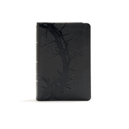 Bible-KJV-LP-Compact-Charcoal