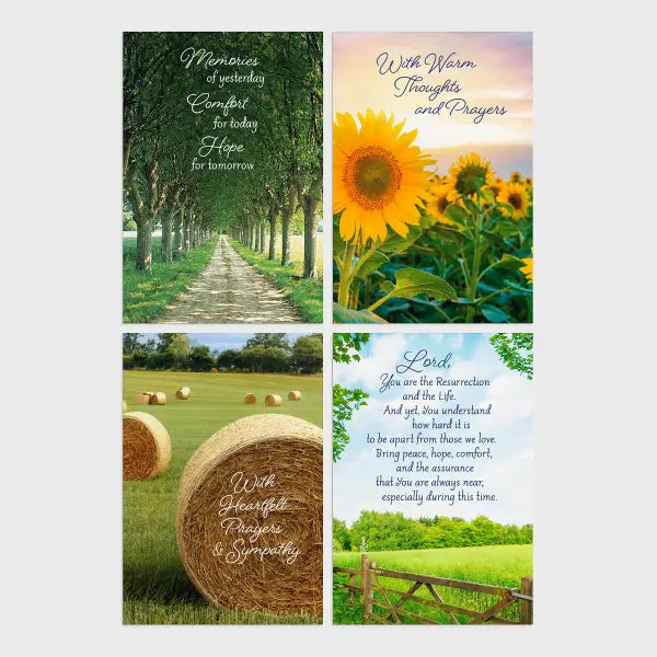 Boxed Cards-Sympathy-Fields Of Comfort