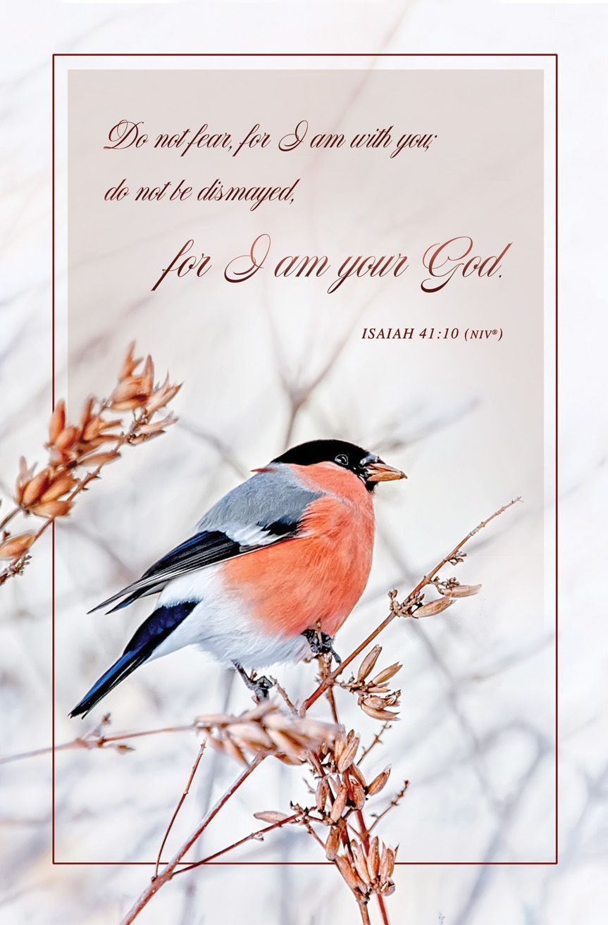 Bulletin-100pk-Isa 41:10-Do Not Fear-Bird