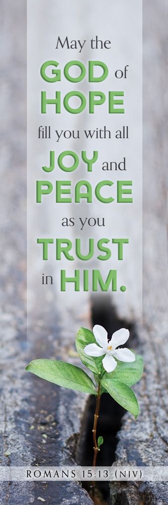Bookmark-25pk-Rom 15:13-The God Of Hope-Flower