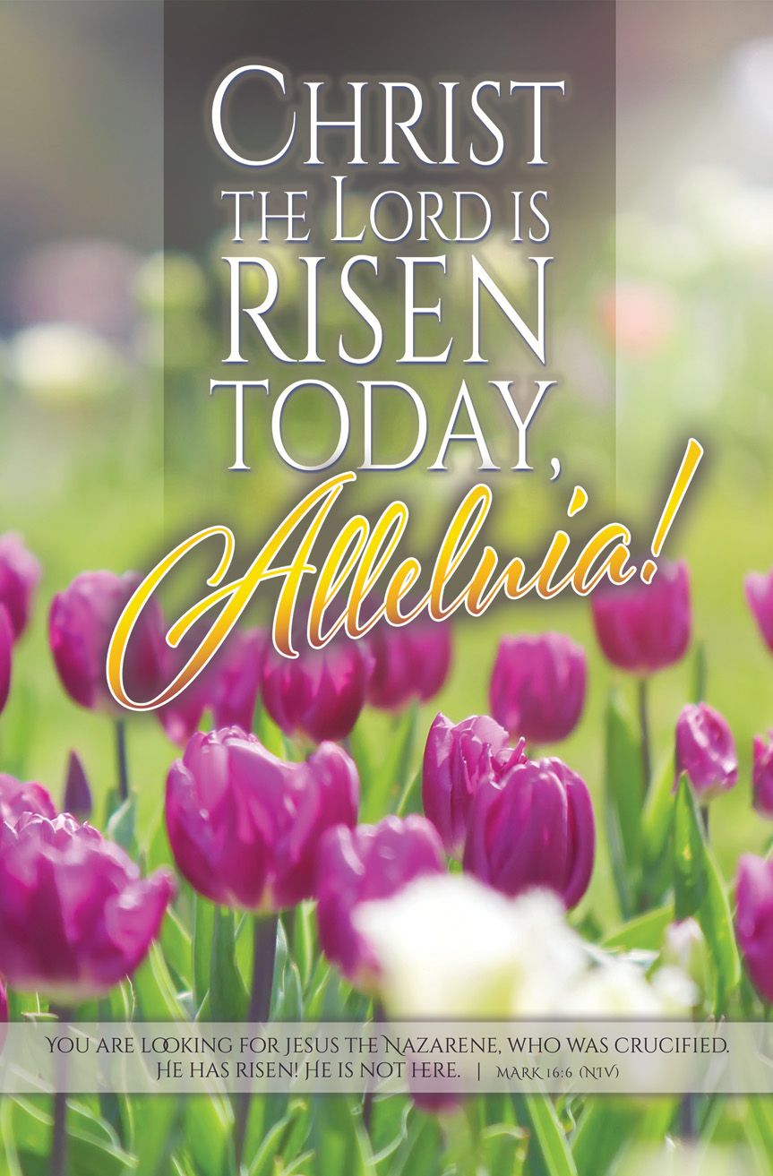Bulletin-100pk-Mrk 16:6-Christ The Lord Is Risen Today-Tulips